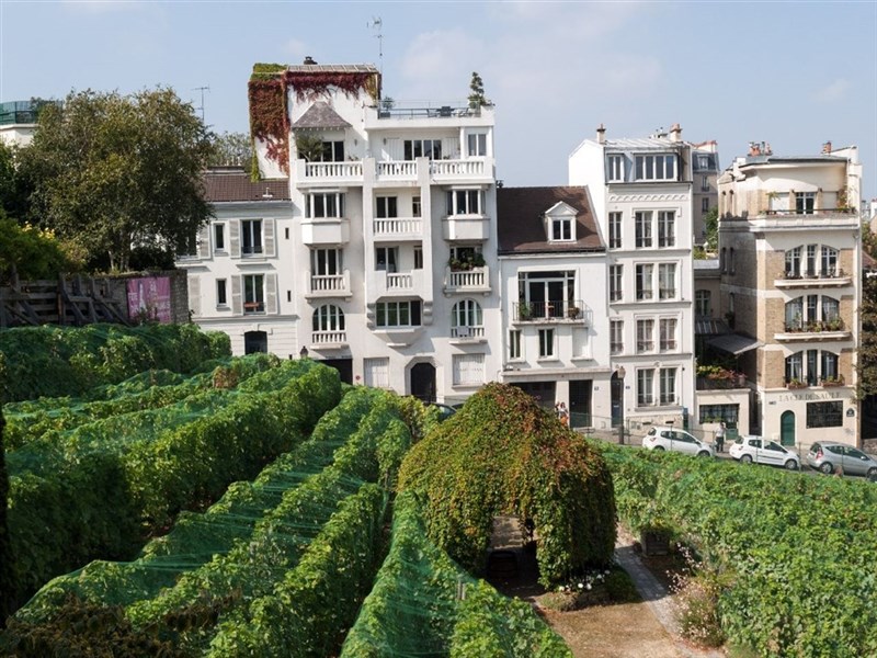 Potulky Parížom_LET - Gardens dedicated to Auguste Renoir