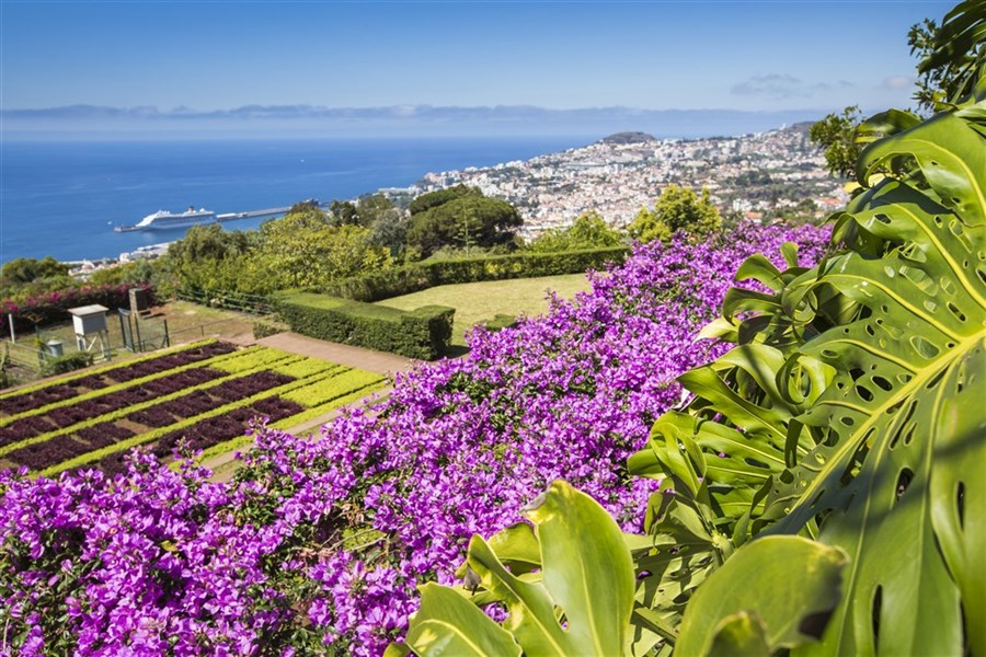 Grand Tour Madeirou - Botanická záharada, Funchal, Madeira, poznávací zájazd, Portugalsko