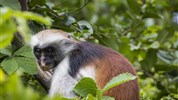 Zanzibar - poznávanie afrického raja