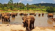 Srí Lanka - plná zážitkov