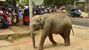 Srí Lanka - plná zážitkov