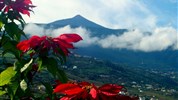 To najlepšie z Tenerife - zelený sever a slnečný juh