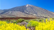 To najlepšie z Tenerife - zelený sever a slnečný juh