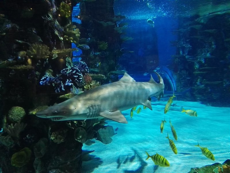 Tropikárium - Budapešť