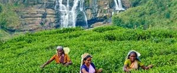Srílanka - ráj na zemi