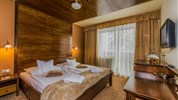 Wellness Hotel Borovica